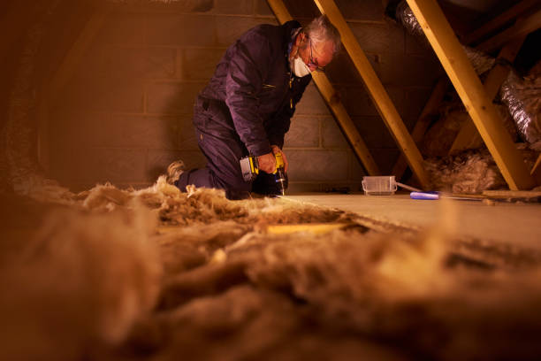 Best Types of Insulation in Mays Chapel, MD